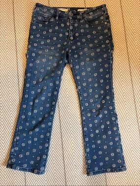 Anthropologie Pilcro Dark Blue Floral Embroidered Cropped Jeans 27 Petite